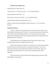 Mergvakarių organizavimo įmonės verslo planas  11 puslapis