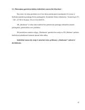 Mergvakarių organizavimo įmonės verslo planas  12 puslapis