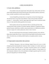 Mergvakarių organizavimo įmonės verslo planas  13 puslapis