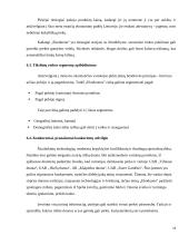 Mergvakarių organizavimo įmonės verslo planas  14 puslapis