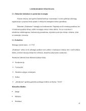 Mergvakarių organizavimo įmonės verslo planas  15 puslapis