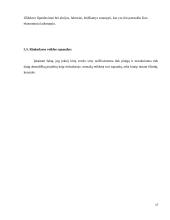 Mergvakarių organizavimo įmonės verslo planas  17 puslapis