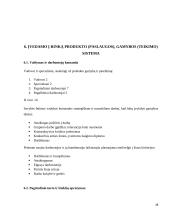 Mergvakarių organizavimo įmonės verslo planas  18 puslapis