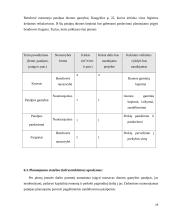 Mergvakarių organizavimo įmonės verslo planas  19 puslapis