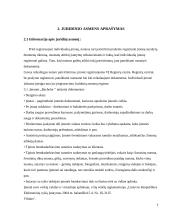 Mergvakarių organizavimo įmonės verslo planas  5 puslapis