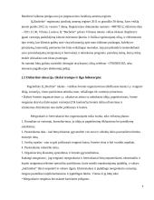 Mergvakarių organizavimo įmonės verslo planas  6 puslapis