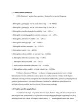 Mergvakarių organizavimo įmonės verslo planas  9 puslapis