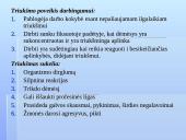 Darbo vietos ir darbo sąlygų ergonominiai aspektai 11 puslapis