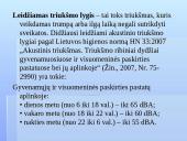Darbo vietos ir darbo sąlygų ergonominiai aspektai 12 puslapis