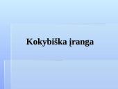 Darbo vietos ir darbo sąlygų ergonominiai aspektai 16 puslapis