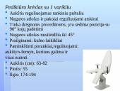 Darbo vietos ir darbo sąlygų ergonominiai aspektai 18 puslapis