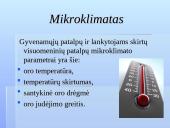 Darbo vietos ir darbo sąlygų ergonominiai aspektai 4 puslapis