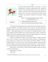 Kūrybinių užduočIų naudojimas lietuvių kalbos pamokose 1-2 klasėse 13 puslapis