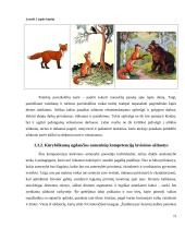 Kūrybinių užduočIų naudojimas lietuvių kalbos pamokose 1-2 klasėse 17 puslapis