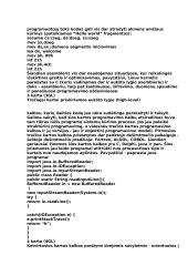 Programavimo kalba 3 puslapis