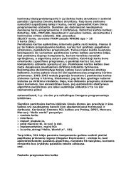 Programavimo kalba 4 puslapis