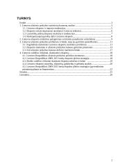 Lietuvos eksporto pobūdis ir struktūra dabartinėmis sąlygomis. Kursinis darbas 2 puslapis