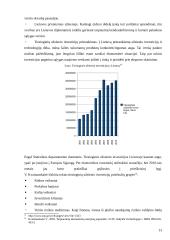 Lietuvos eksporto pobūdis ir struktūra dabartinėmis sąlygomis. Kursinis darbas 13 puslapis