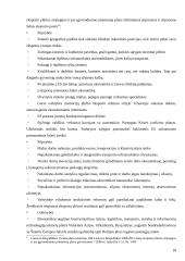 Lietuvos eksporto pobūdis ir struktūra dabartinėmis sąlygomis. Kursinis darbas 18 puslapis