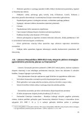 Lietuvos eksporto pobūdis ir struktūra dabartinėmis sąlygomis. Kursinis darbas 19 puslapis