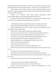 Lietuvos eksporto pobūdis ir struktūra dabartinėmis sąlygomis. Kursinis darbas 20 puslapis