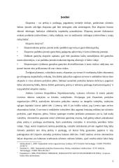 Lietuvos eksporto pobūdis ir struktūra dabartinėmis sąlygomis. Kursinis darbas 3 puslapis