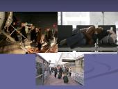 Migracija. Pristatymas 13 puslapis