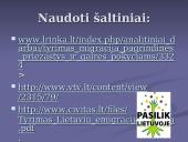 Migracija. Pristatymas 14 puslapis