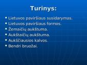 Lietuvos paviršius. Pristatymas 2 puslapis