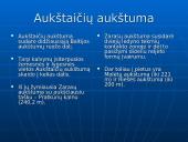 Lietuvos paviršius. Pristatymas 11 puslapis