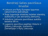 Lietuvos paviršius. Pristatymas 15 puslapis