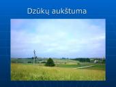 Lietuvos paviršius. Pristatymas 19 puslapis