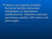 Lietuvos paviršius. Pristatymas 3 puslapis