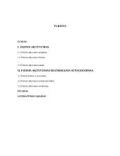 Fizinio aktyvumo vertinimas 2 puslapis