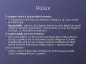 Kometos. Pristatymas 6 puslapis