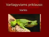 Stuburiniai gyvūnai. Pristatymas 15 puslapis