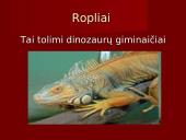 Stuburiniai gyvūnai. Pristatymas 17 puslapis