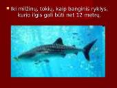 Stuburiniai gyvūnai. Pristatymas 5 puslapis