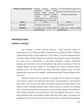  Langų sandarinimo įmonės verslo planas 11 puslapis