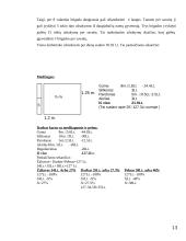  Langų sandarinimo įmonės verslo planas 13 puslapis