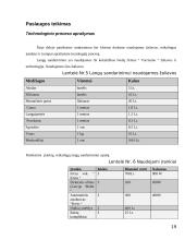  Langų sandarinimo įmonės verslo planas 19 puslapis