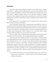  Langų sandarinimo įmonės verslo planas 3 puslapis