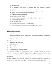  Langų sandarinimo įmonės verslo planas 7 puslapis