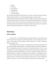  Langų sandarinimo įmonės verslo planas 8 puslapis