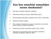 Atmosferos tarša. Pristatymas 14 puslapis