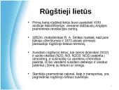 Atmosferos tarša. Pristatymas 7 puslapis