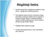 Atmosferos tarša. Pristatymas 8 puslapis