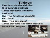 Japonijos Fukušimos atominė elektrinė 2 puslapis