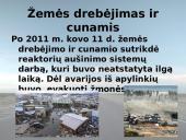 Japonijos Fukušimos atominė elektrinė 5 puslapis