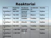 Japonijos Fukušimos atominė elektrinė 6 puslapis